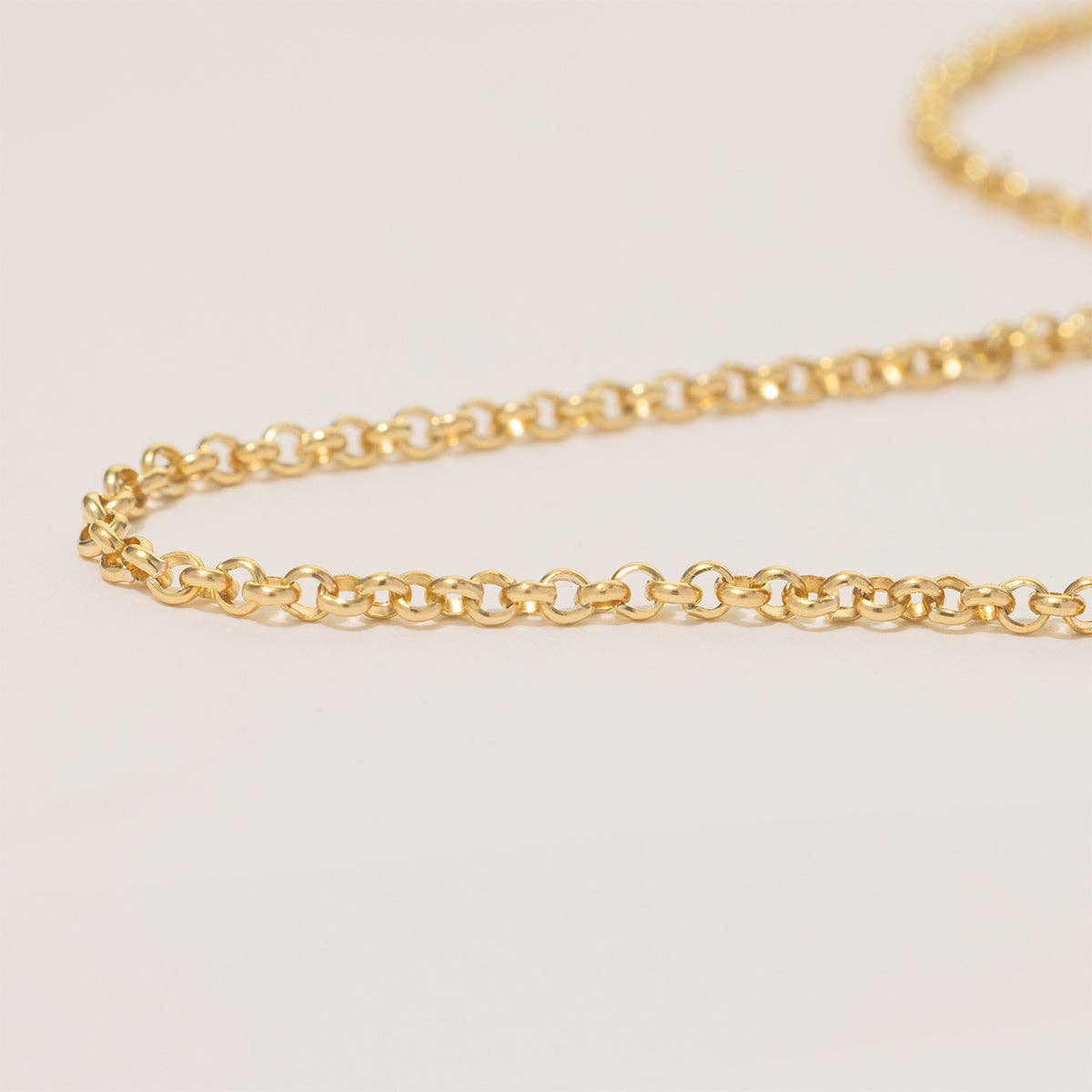 Rolo Chain Anklet: Gold Filled / 9"