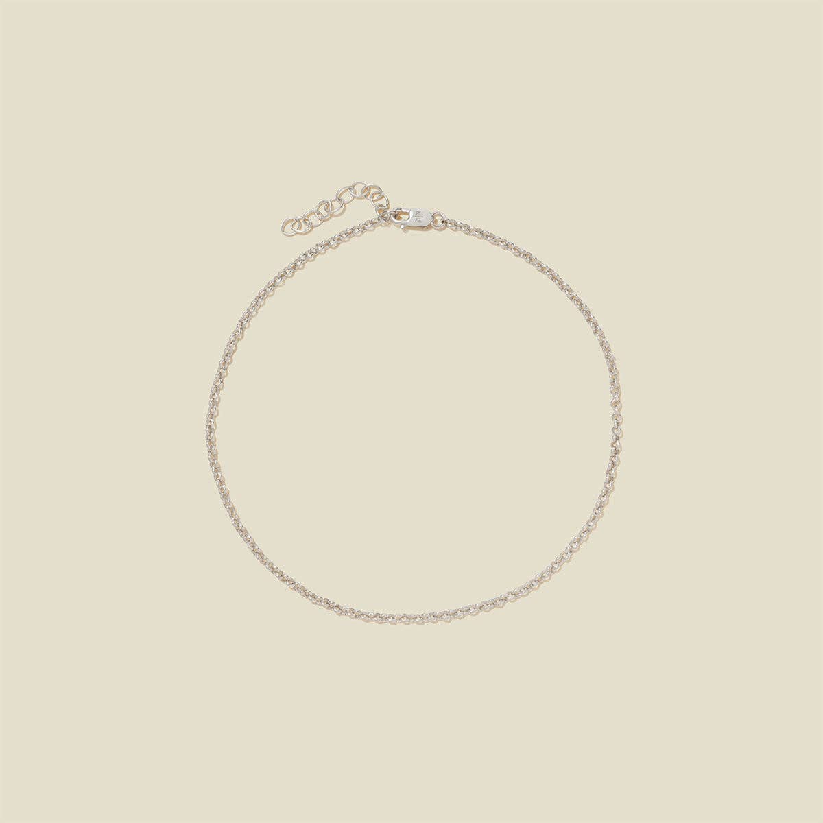 Rolo Chain Anklet: Gold Filled / 9"